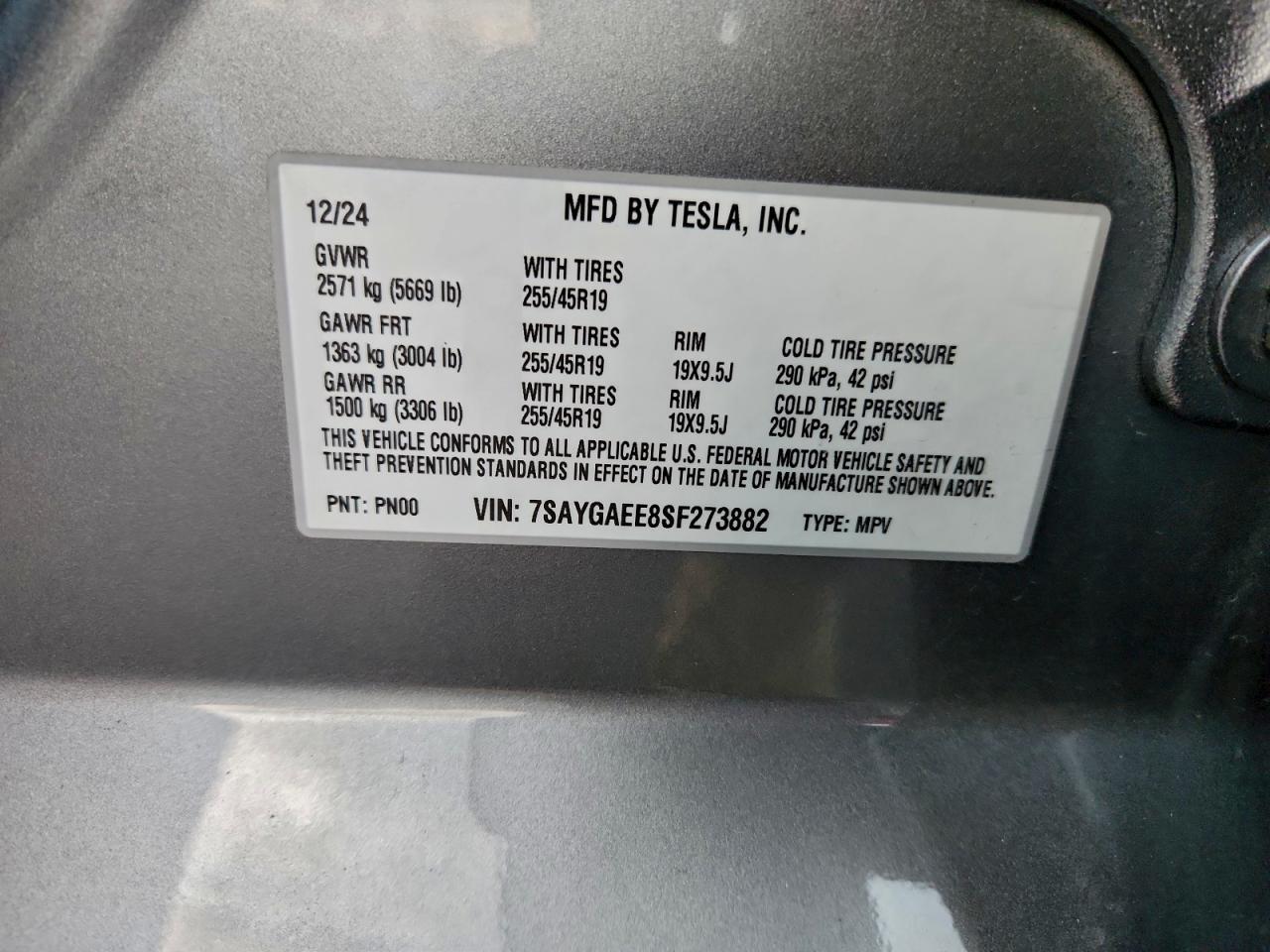 2025 TESLA MODEL Y
