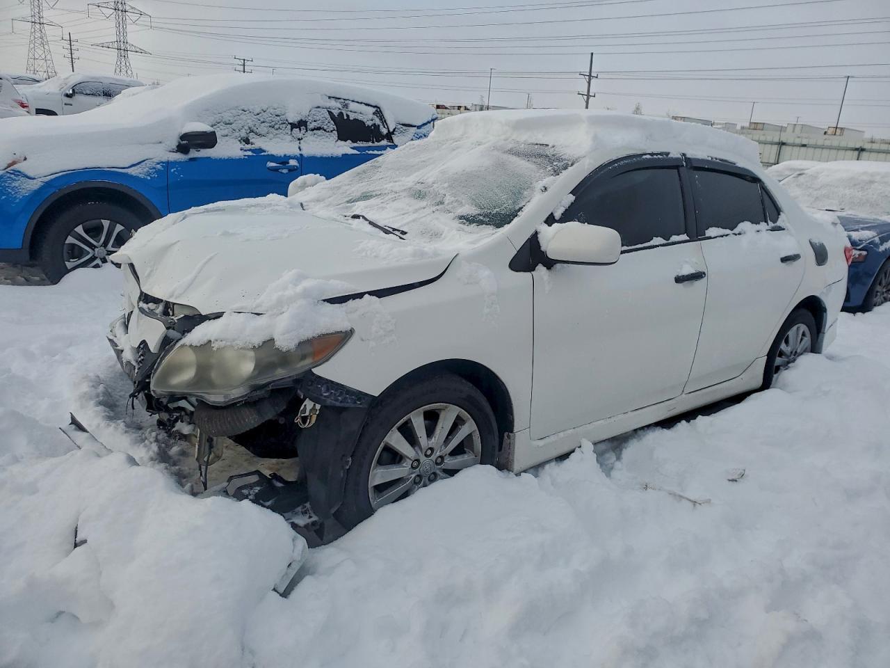 2010 TOYOTA COROLLA