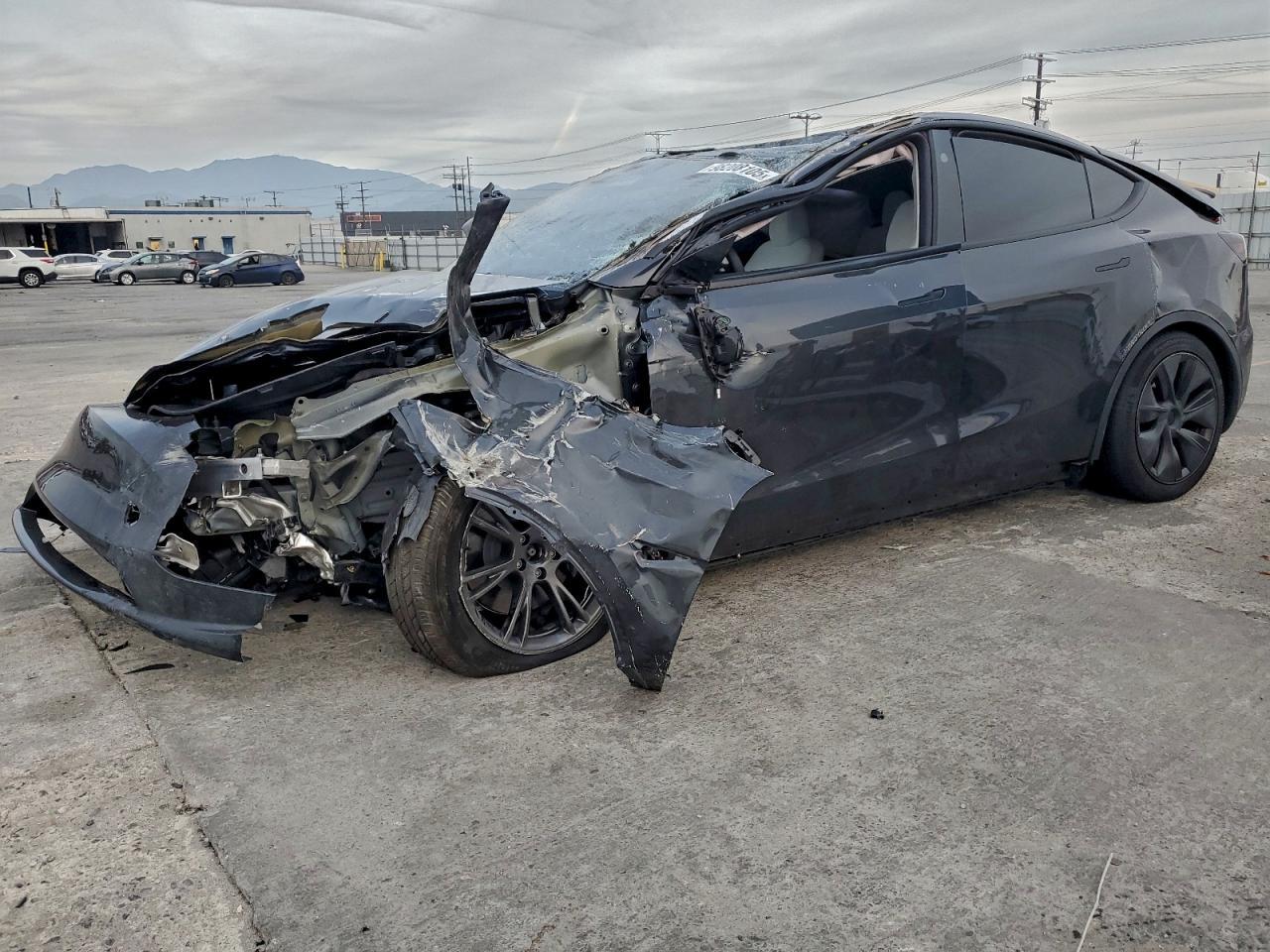 2025 TESLA MODEL Y