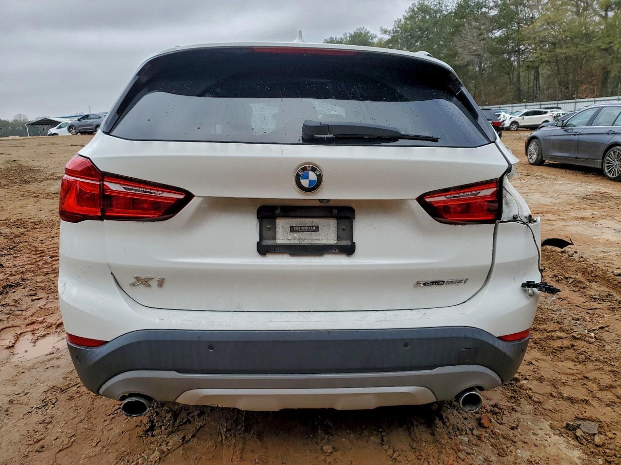 2019 BMW X1