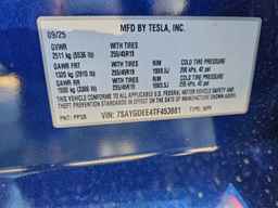 2026 TESLA MODEL Y