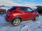 2011 NISSAN Juke