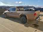 2000 DODGE Dakota