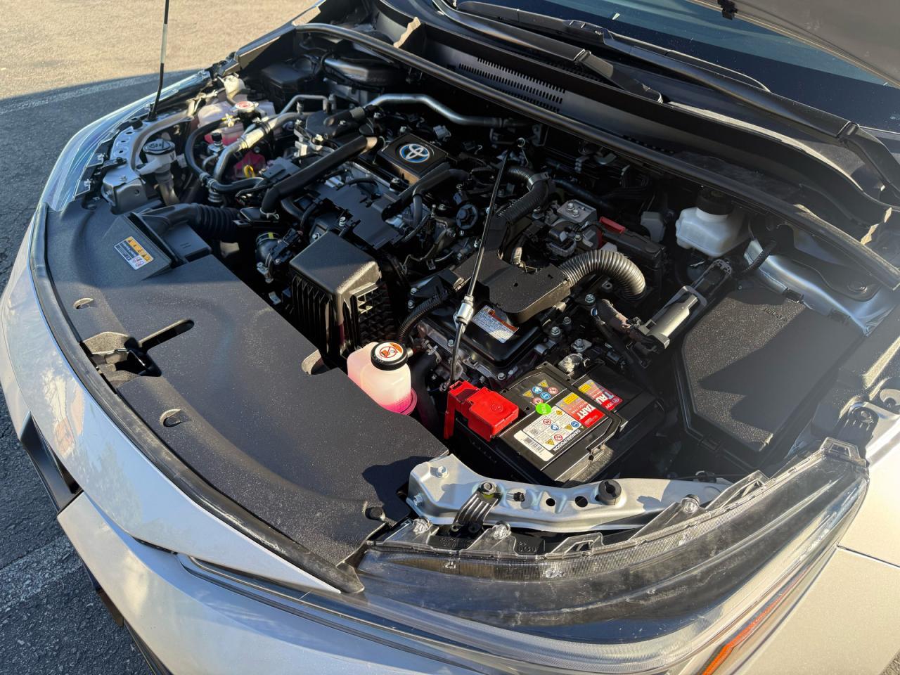 2023 TOYOTA COROLLA