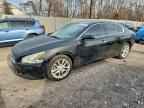 2013 NISSAN Maxima
