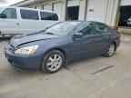 2005 HONDA ACCORD