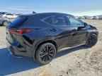 2024 LEXUS NX 350