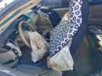 2006 TOYOTA CAMRY