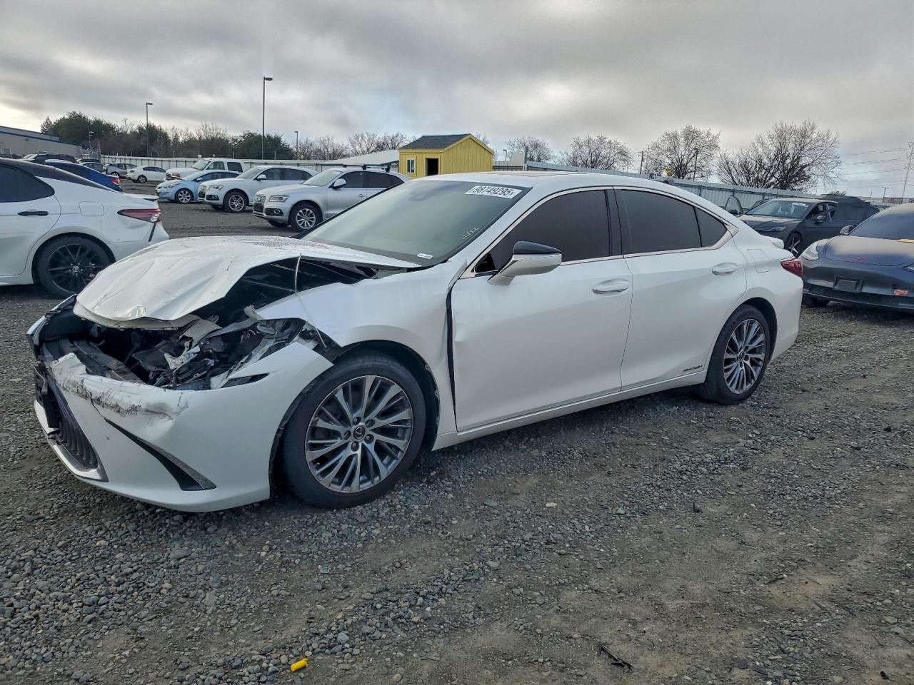 2019 LEXUS ES 300H