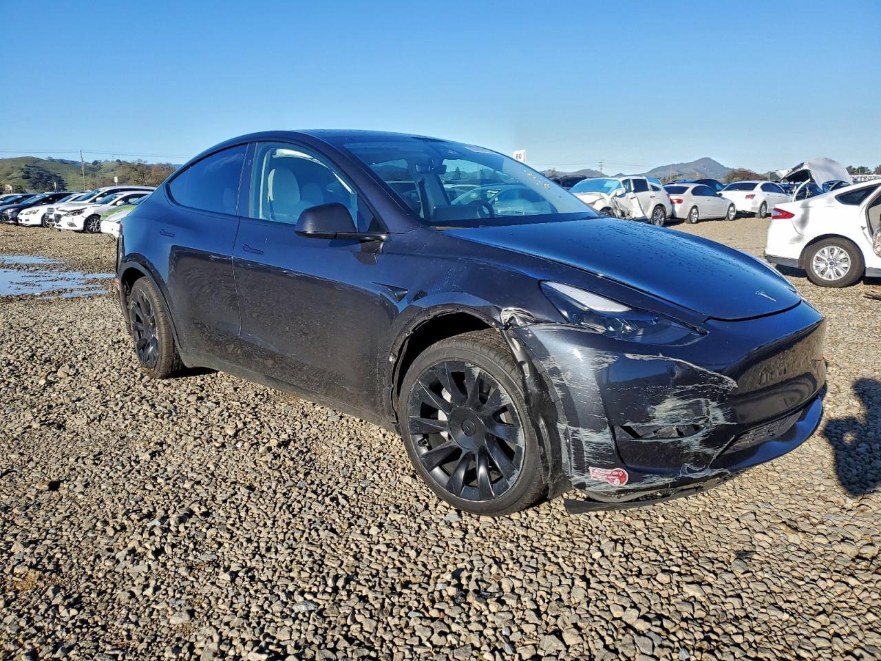 2024 TESLA MODEL Y