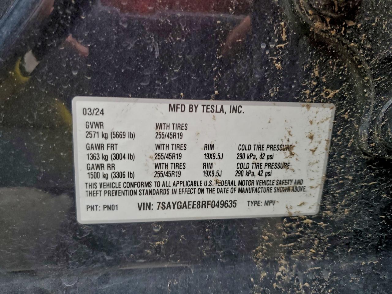 2024 TESLA MODEL Y
