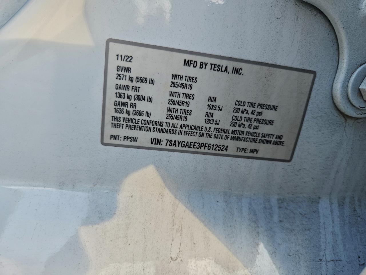 2023 TESLA MODEL Y