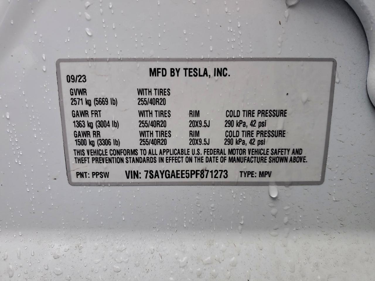 2023 TESLA MODEL Y