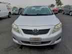 2009 TOYOTA COROLLA