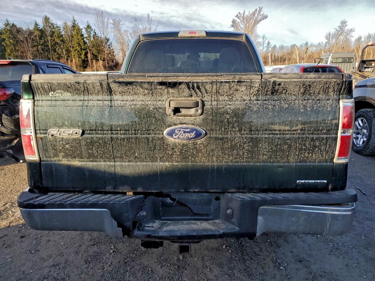 2013 FORD F-150