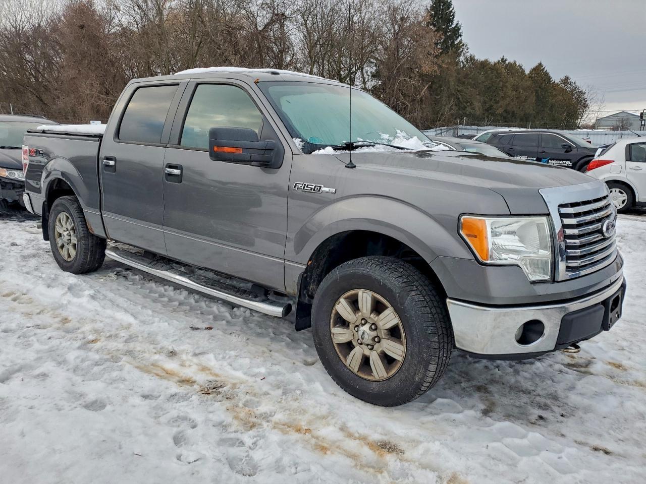 2010 FORD F-150