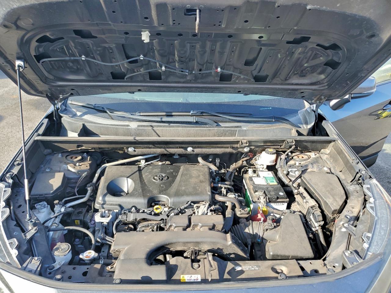2019 TOYOTA RAV4