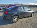 2003 DODGE Neon