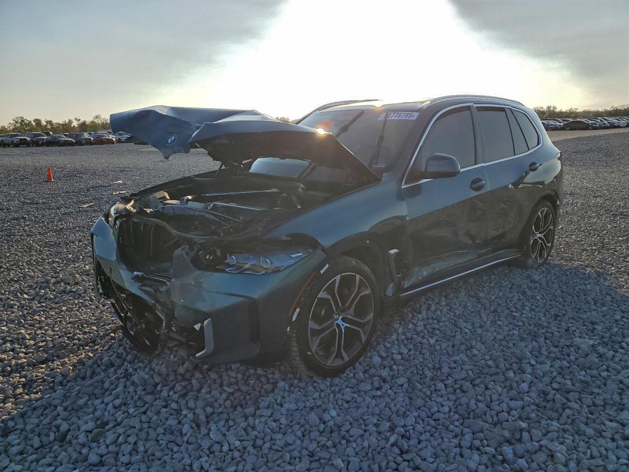 2025 BMW X5