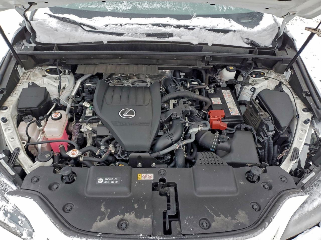 2022 LEXUS NX 350