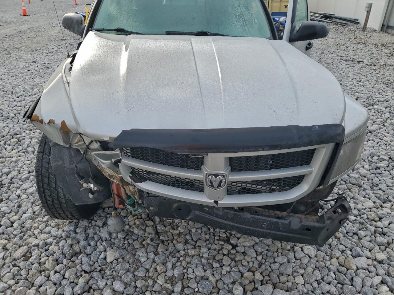 2010 DODGE Dakota
