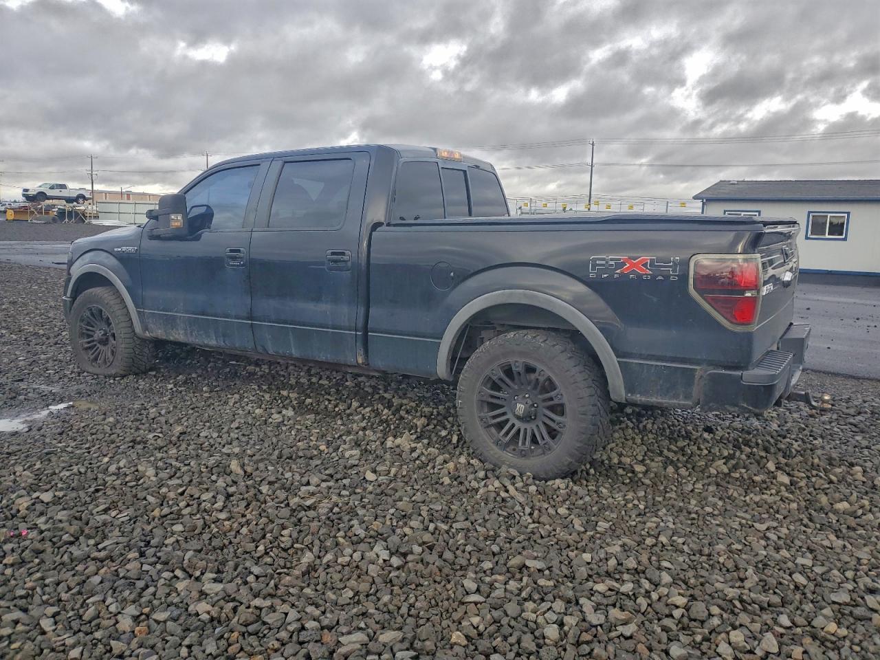 2009 FORD F-150