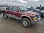 2000 DODGE Dakota