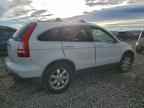 2007 HONDA CR-V
