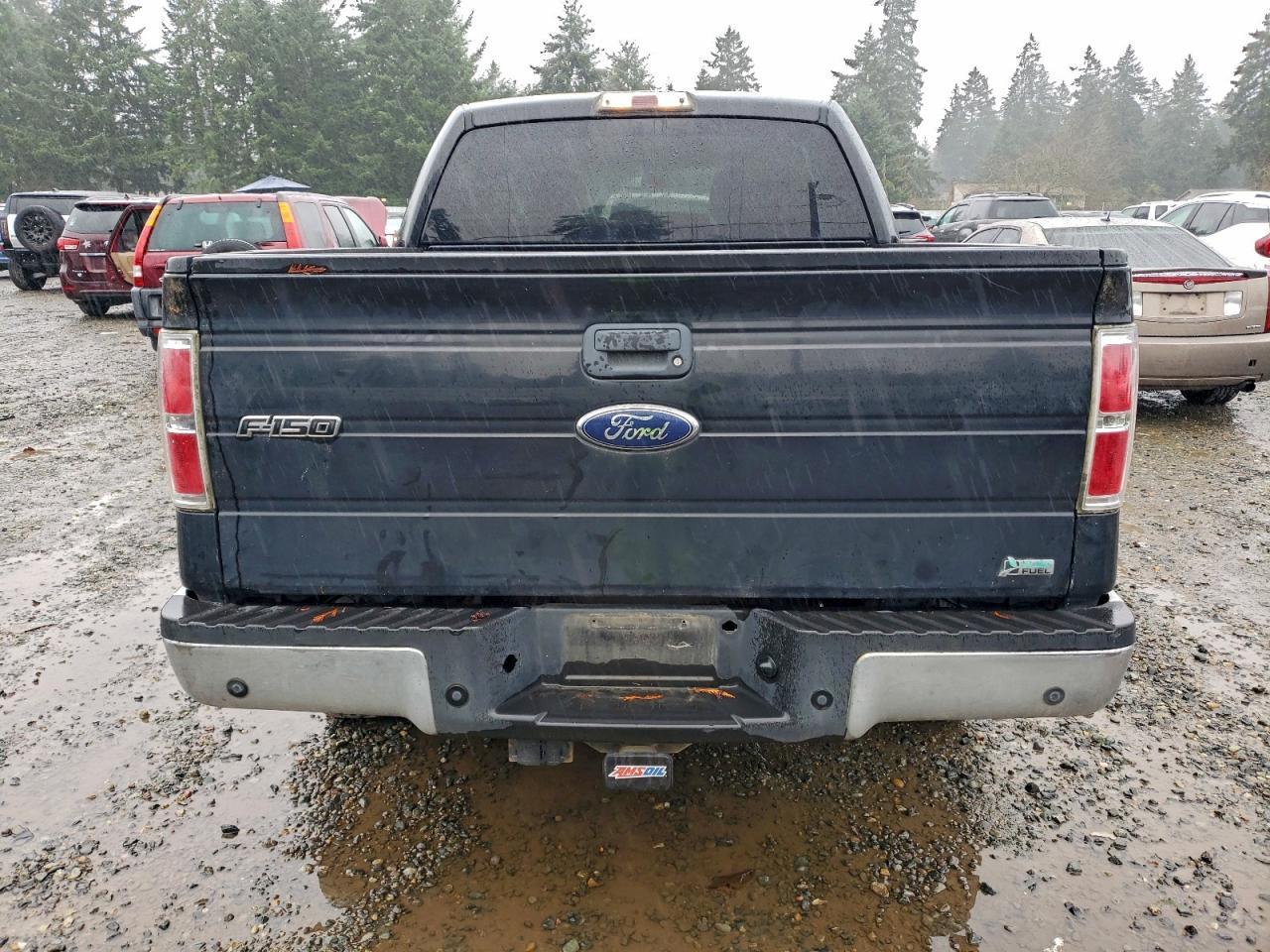 2010 FORD F-150