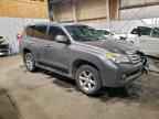2011 LEXUS GX 460