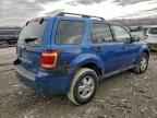 2008 FORD ESCAPE