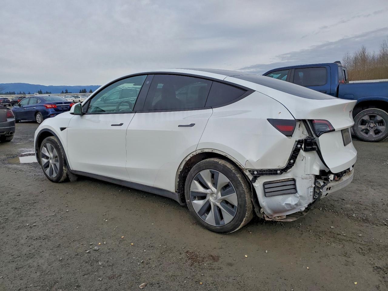 2026 TESLA MODEL Y