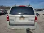 2008 FORD ESCAPE