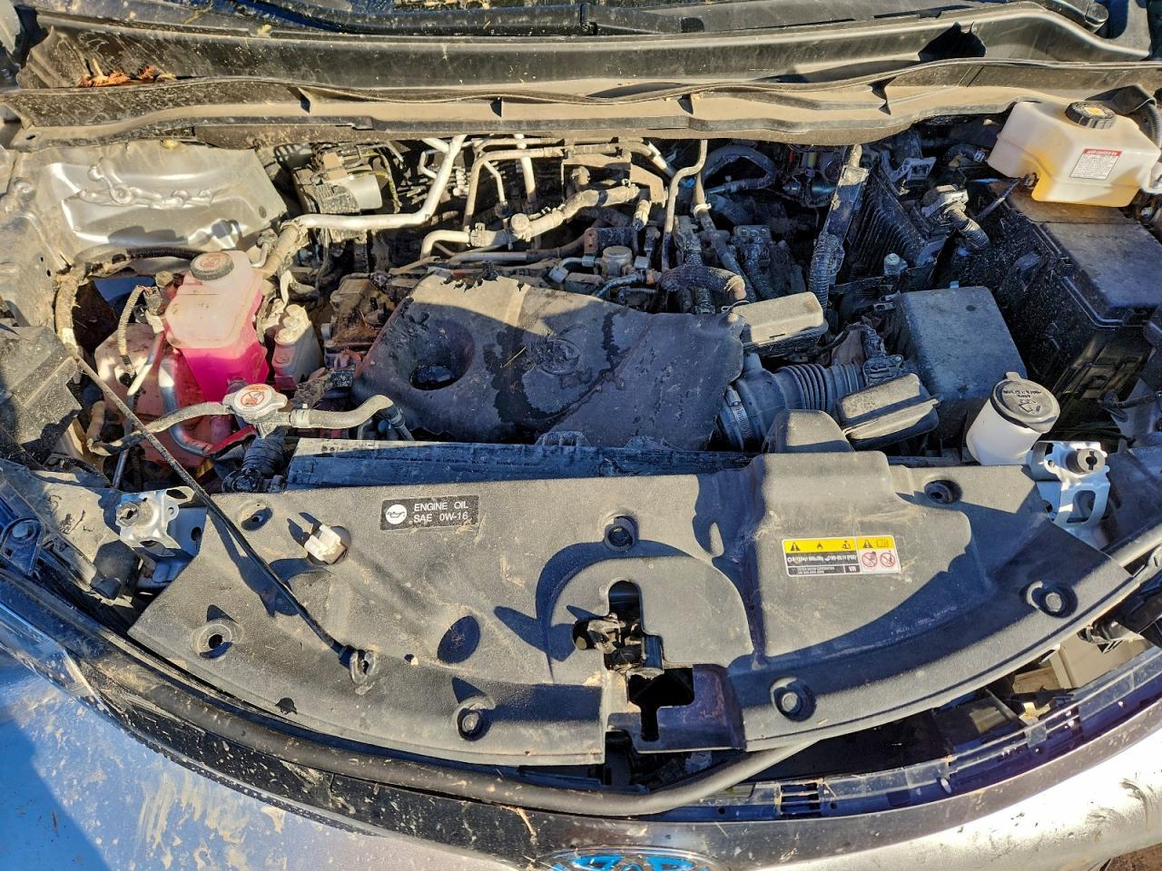 2023 TOYOTA SIENNA