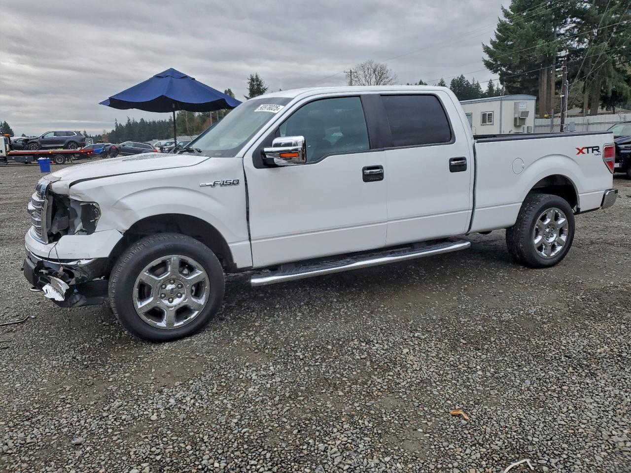 2013 FORD F-150
