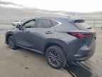 2026 LEXUS NX 350