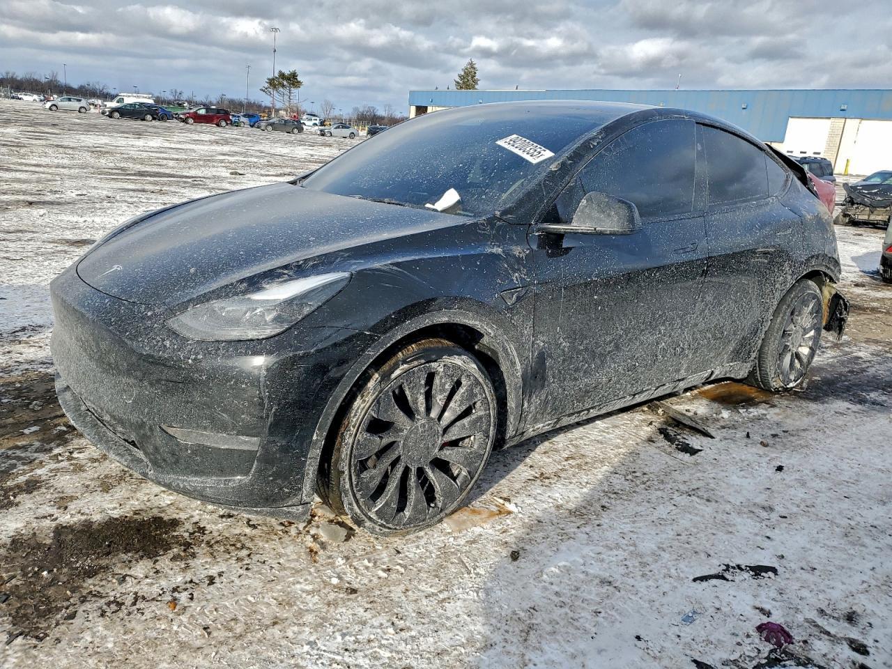 2024 TESLA MODEL Y