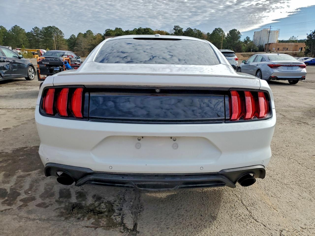 2019 FORD MUSTANG