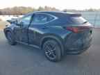 2024 LEXUS NX 350H