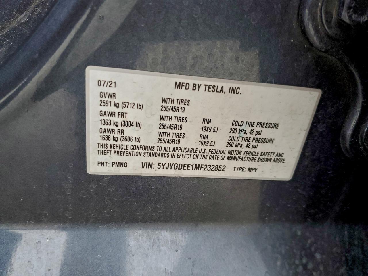 2021 TESLA MODEL Y