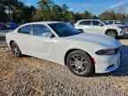 2017 DODGE CHARGER
