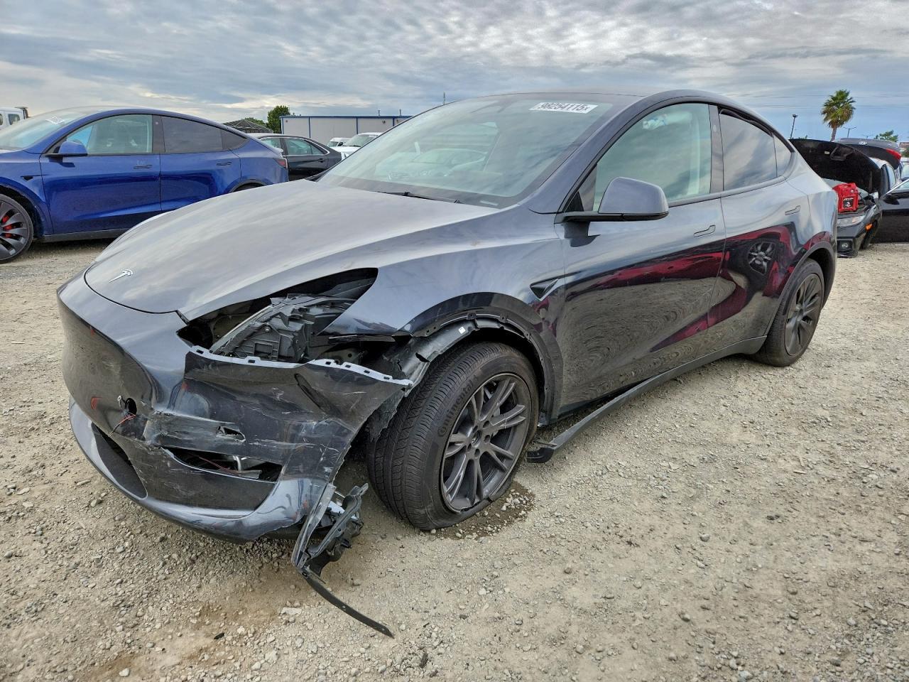 2025 TESLA MODEL Y