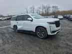 2023 CADILLAC ESCALADE