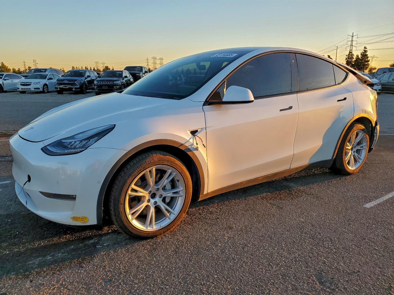 2020 TESLA MODEL Y
