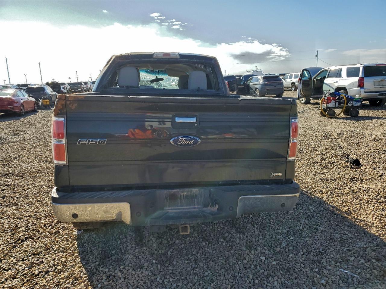 2010 FORD F-150