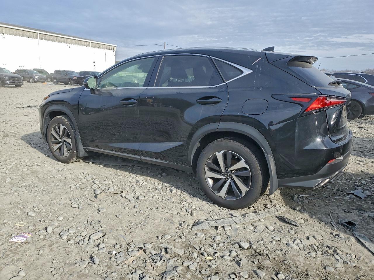 2019 LEXUS NX 300