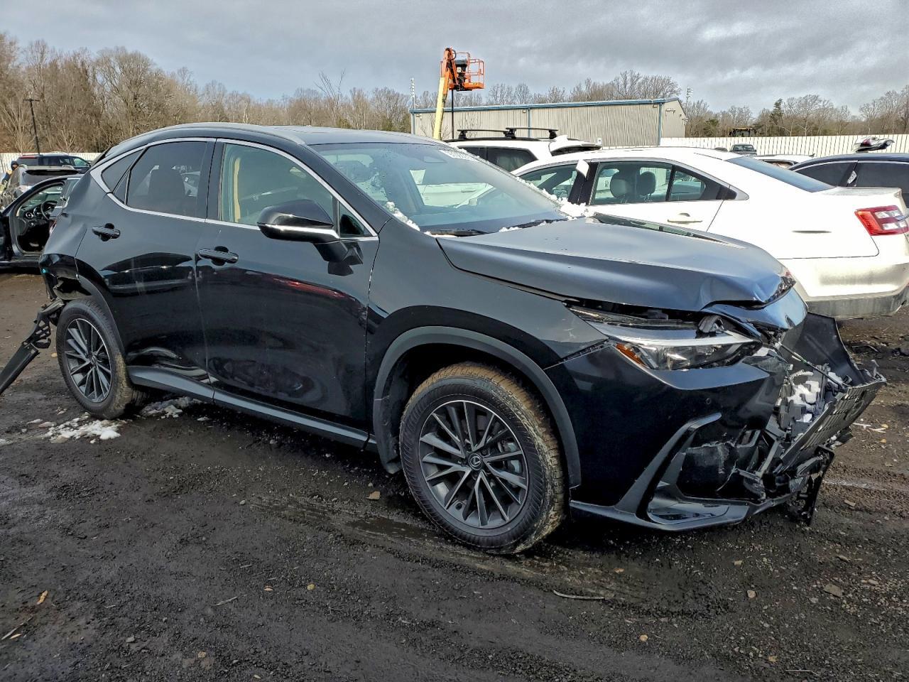 2025 LEXUS NX 350