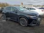 2025 LEXUS NX 350