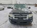 2010 FORD ESCAPE