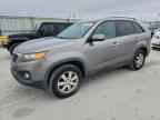 2011 KIA SORENTO